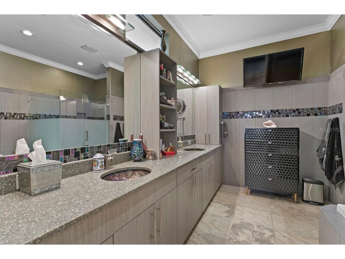 1632 Sea Breeze Drive Tarpon Springs FL 34689 - GULF OF AMERICA TB8422614 image51