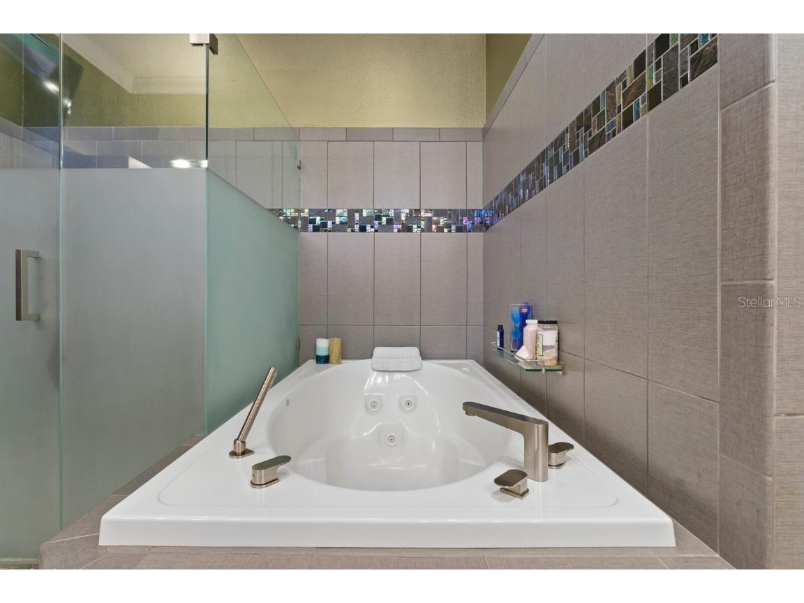 1632 Sea Breeze Drive Tarpon Springs FL 34689 - GULF OF AMERICA TB8422614 image53