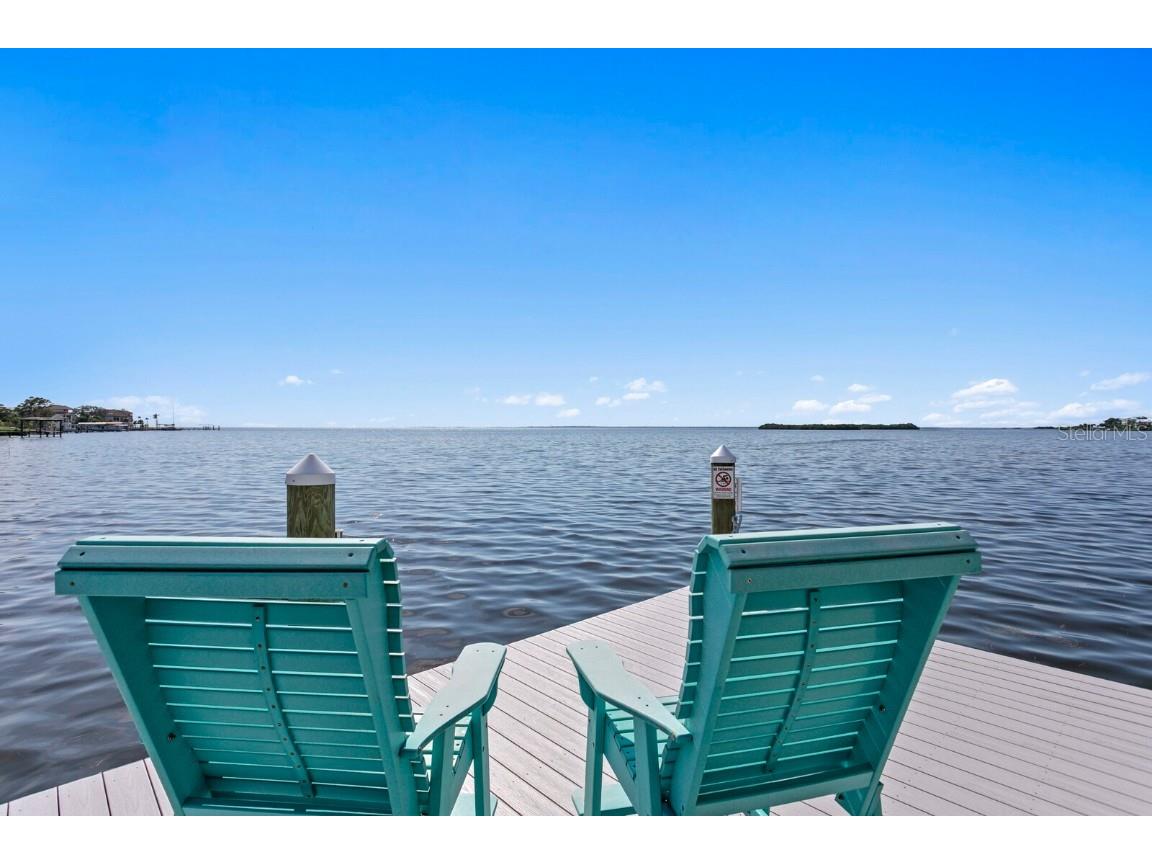 1632 Sea Breeze Drive Tarpon Springs FL 34689 - GULF OF AMERICA TB8422614 image55