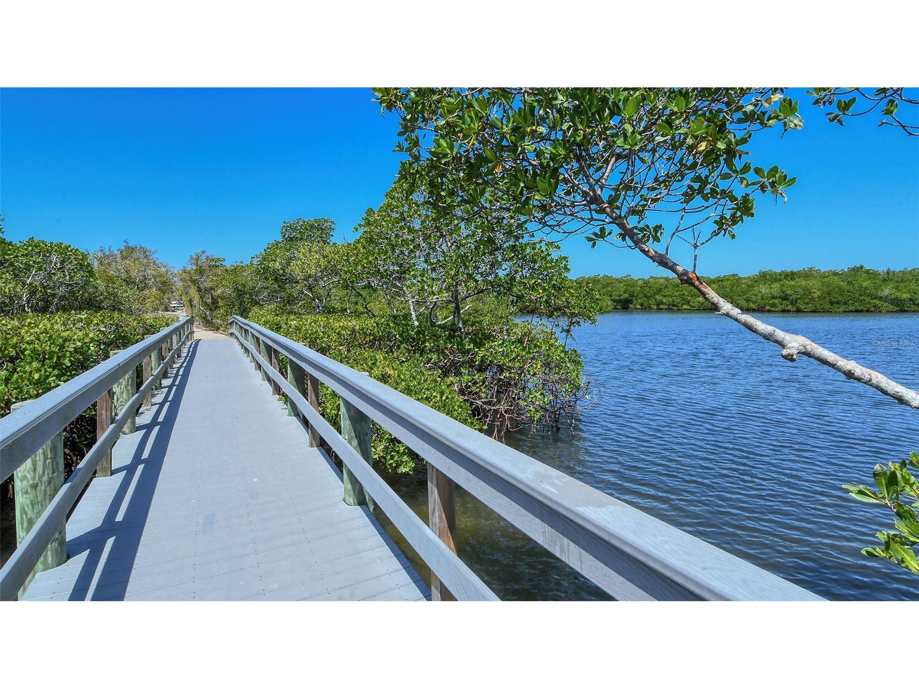 1632 Starling Drive #101 Sarasota FL 34231 A4694065 image79
