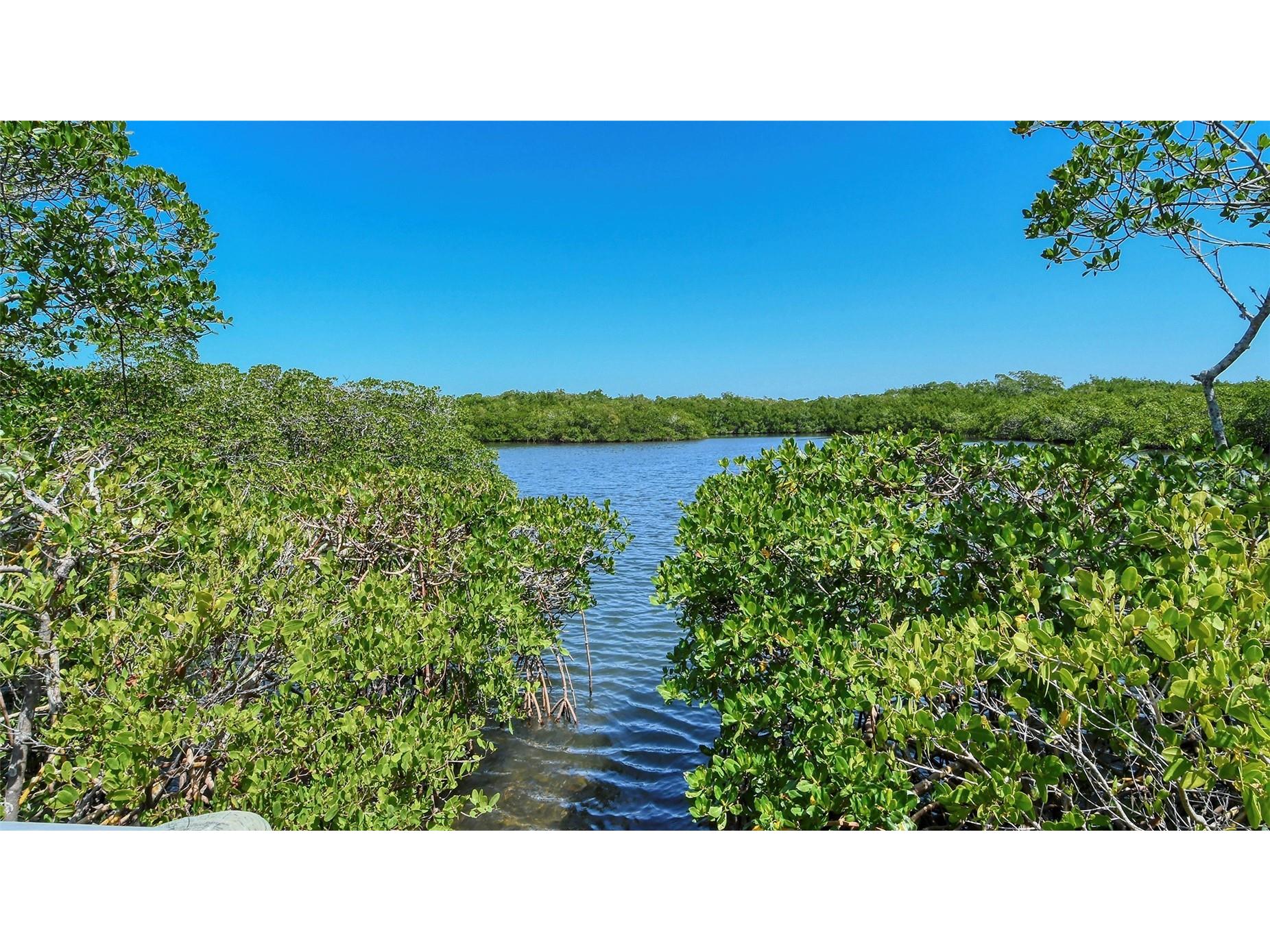 1632 Starling Drive #101 Sarasota FL 34231 A4694065 image81