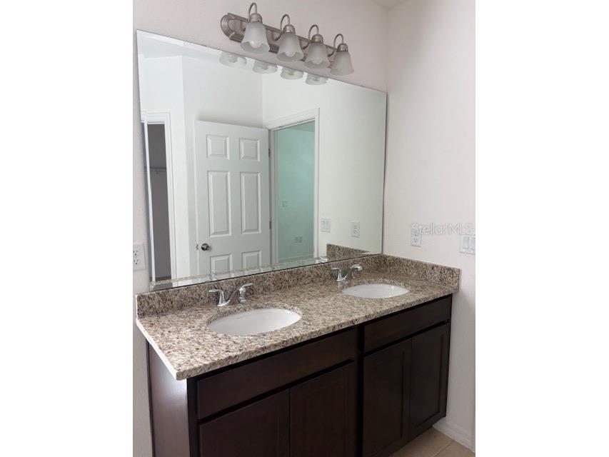 1632 Swan Swim Drive Davenport FL 33837 O6393114 image7