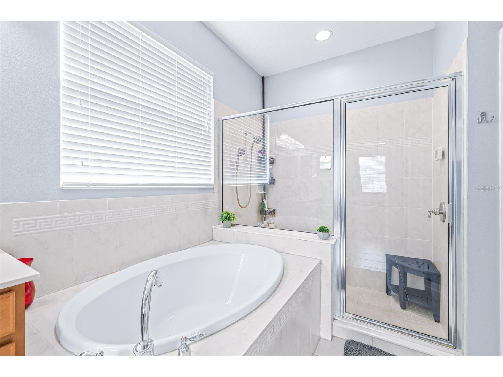 16320 Bridgewalk Drive Lithia FL 33547 TB8487179 image27