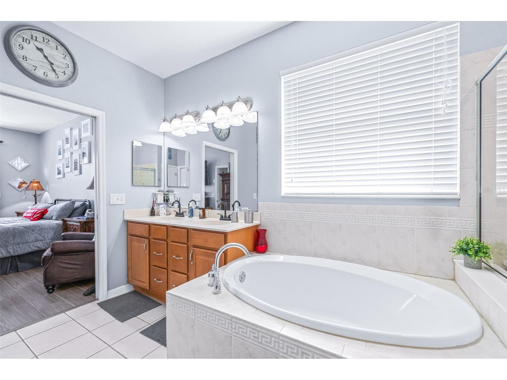 16320 Bridgewalk Drive Lithia FL 33547 TB8487179 image28