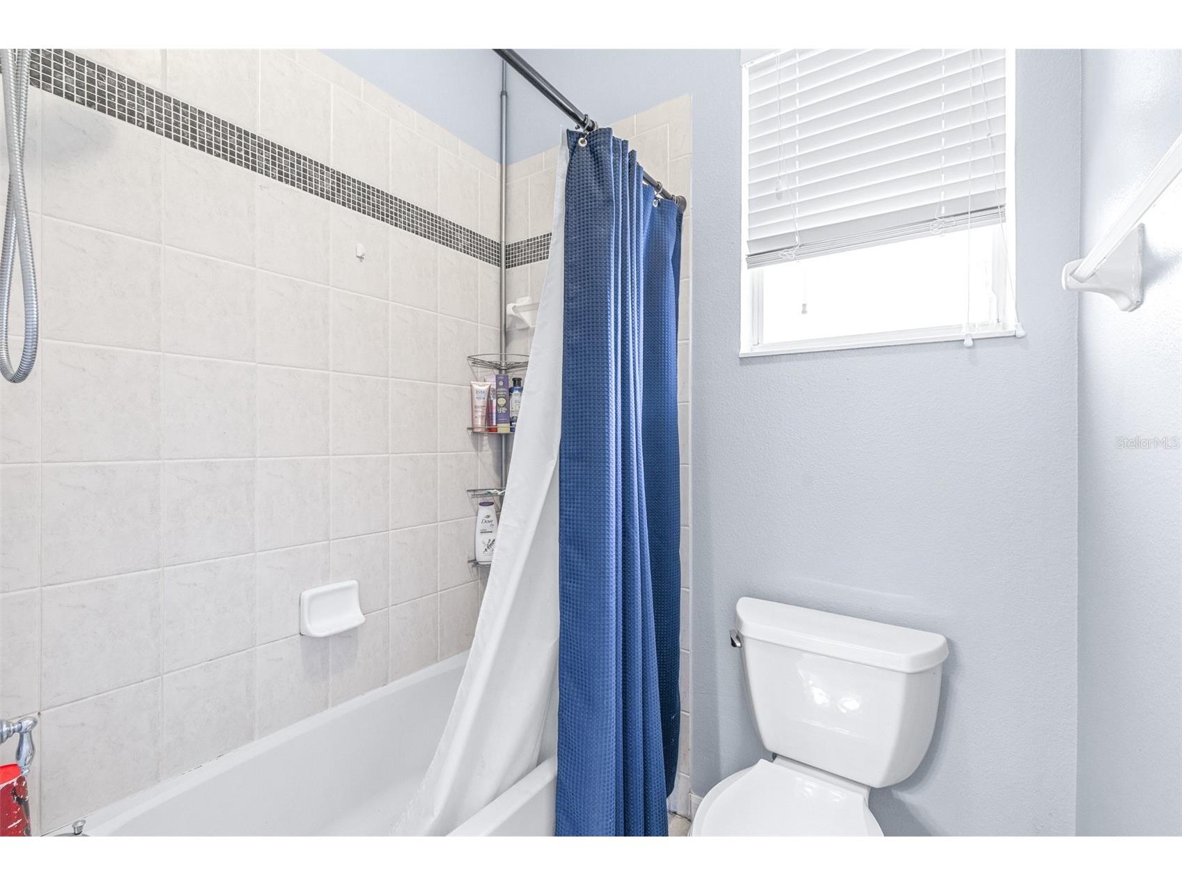 16320 Bridgewalk Drive Lithia FL 33547 TB8487179 image32
