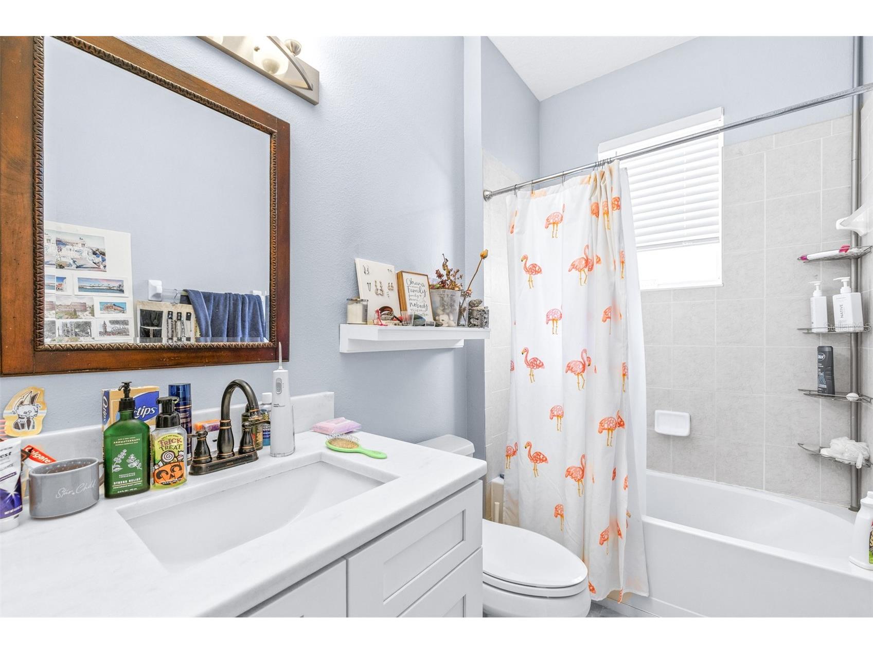 16320 Bridgewalk Drive Lithia FL 33547 TB8487179 image35