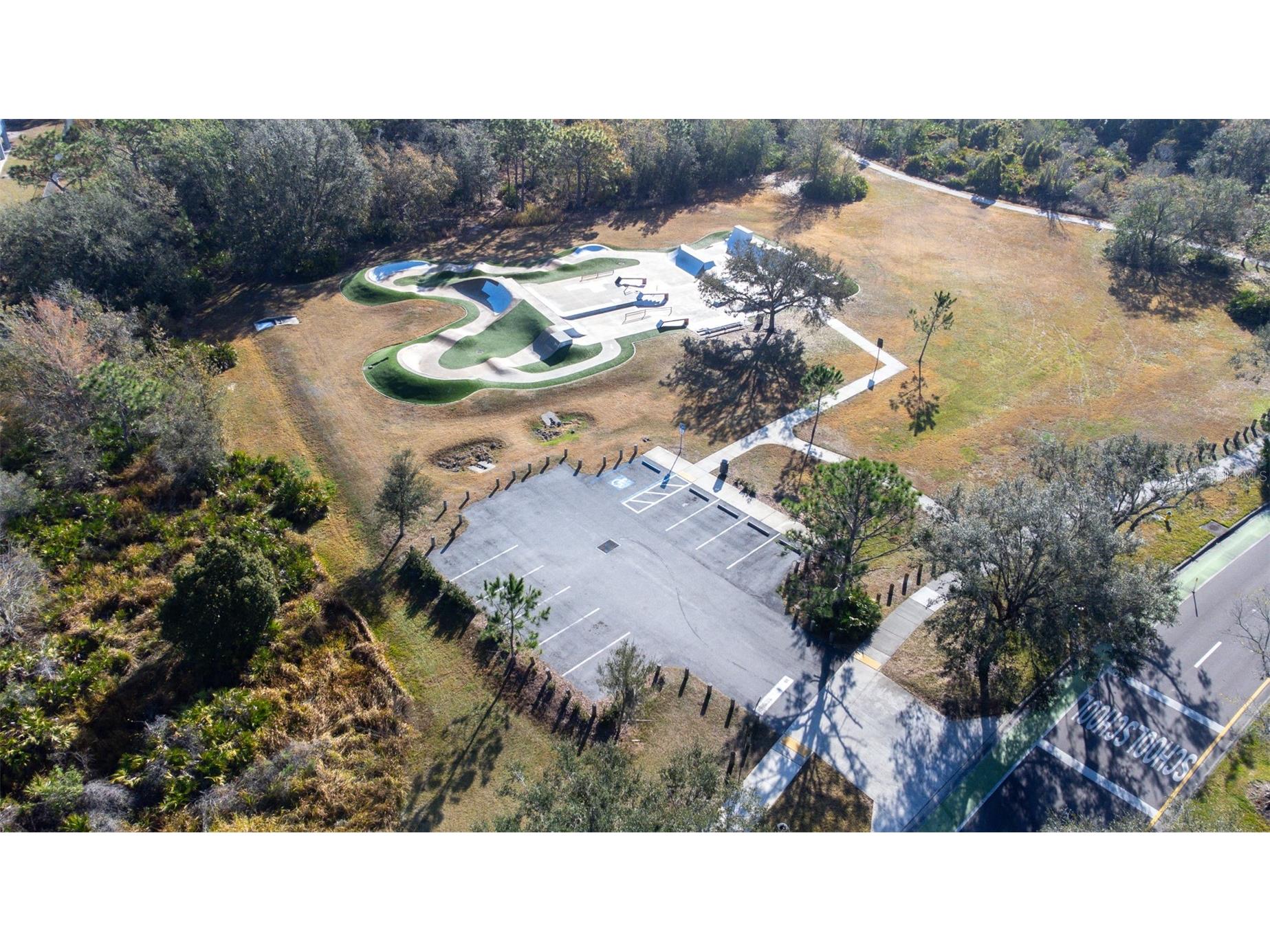 16320 Bridgewalk Drive Lithia FL 33547 TB8487179 image59