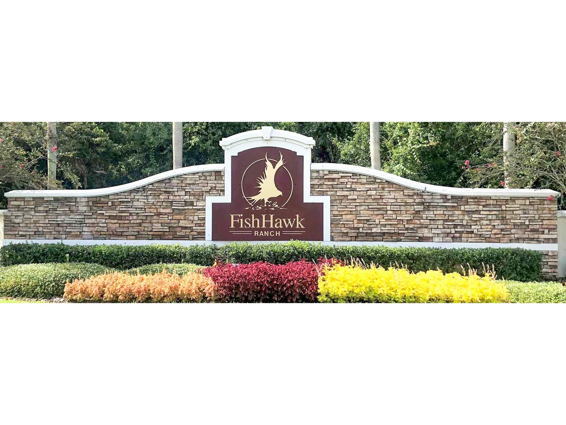 16320 Bridgewalk Drive Lithia FL 33547 TB8487179 image70