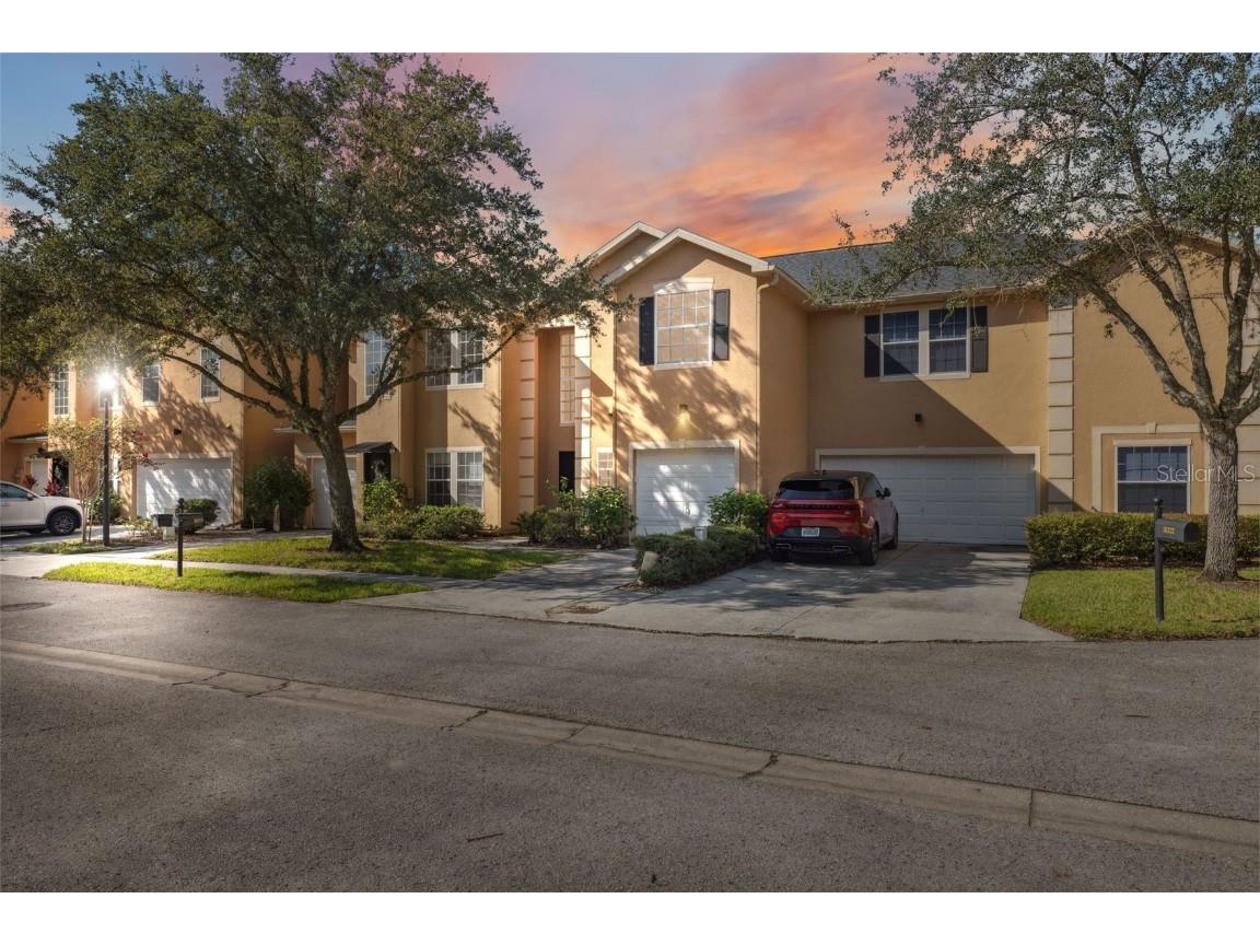 16320 Parkstone Palms Court Tampa FL 33647 S5113515 image1
