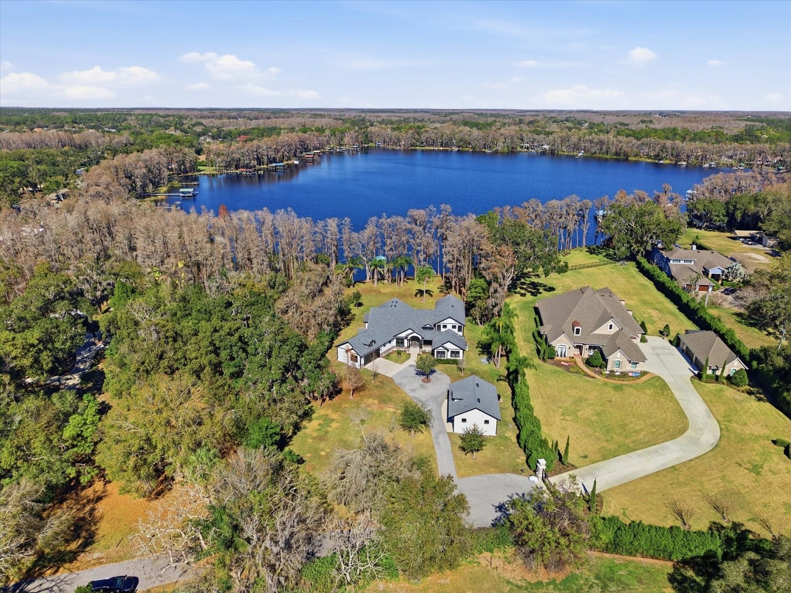 16320 Rock Lake Drive Odessa FL 33556 - Rock Lake TB8477766 image1
