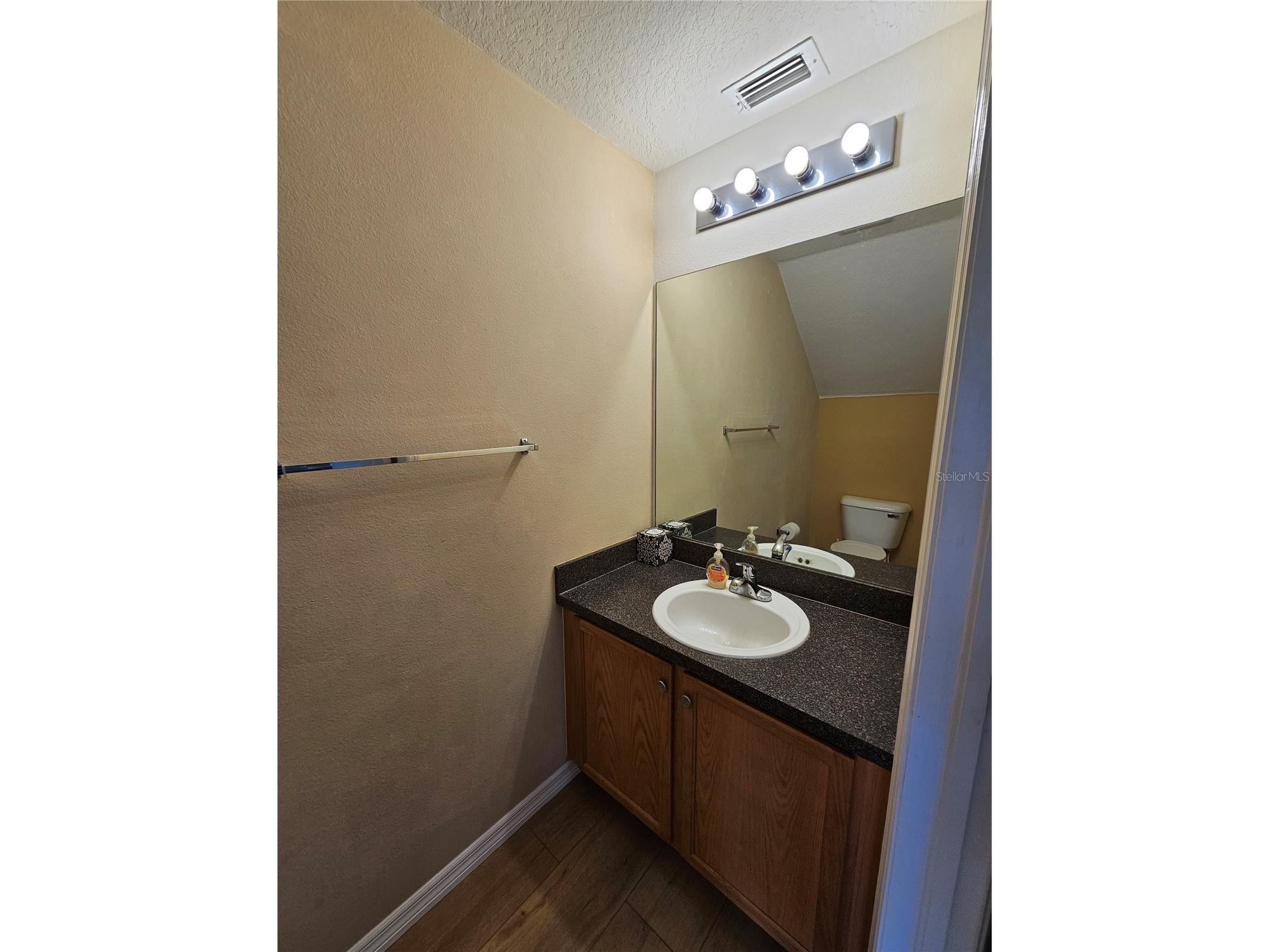 16320 Swan View Circle Odessa FL 33556 TB8460744 image16