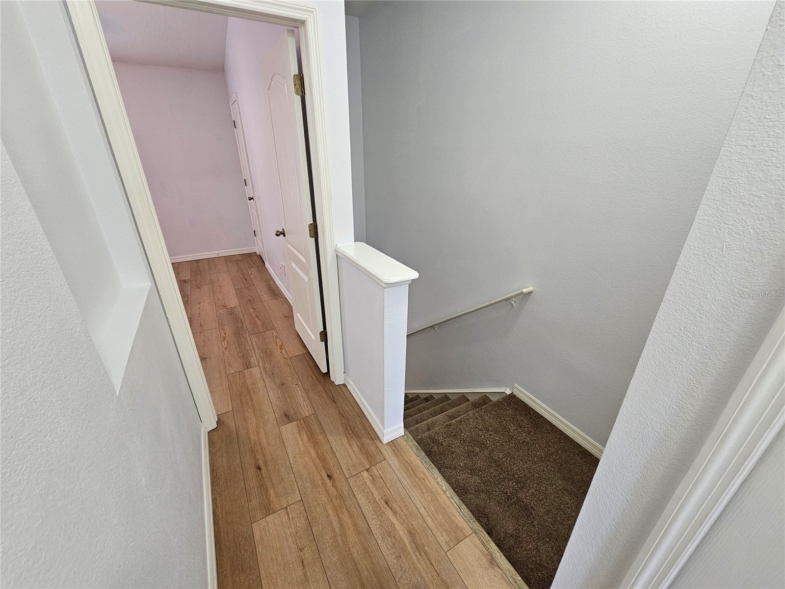 16320 Swan View Circle Odessa FL 33556 TB8460744 image31