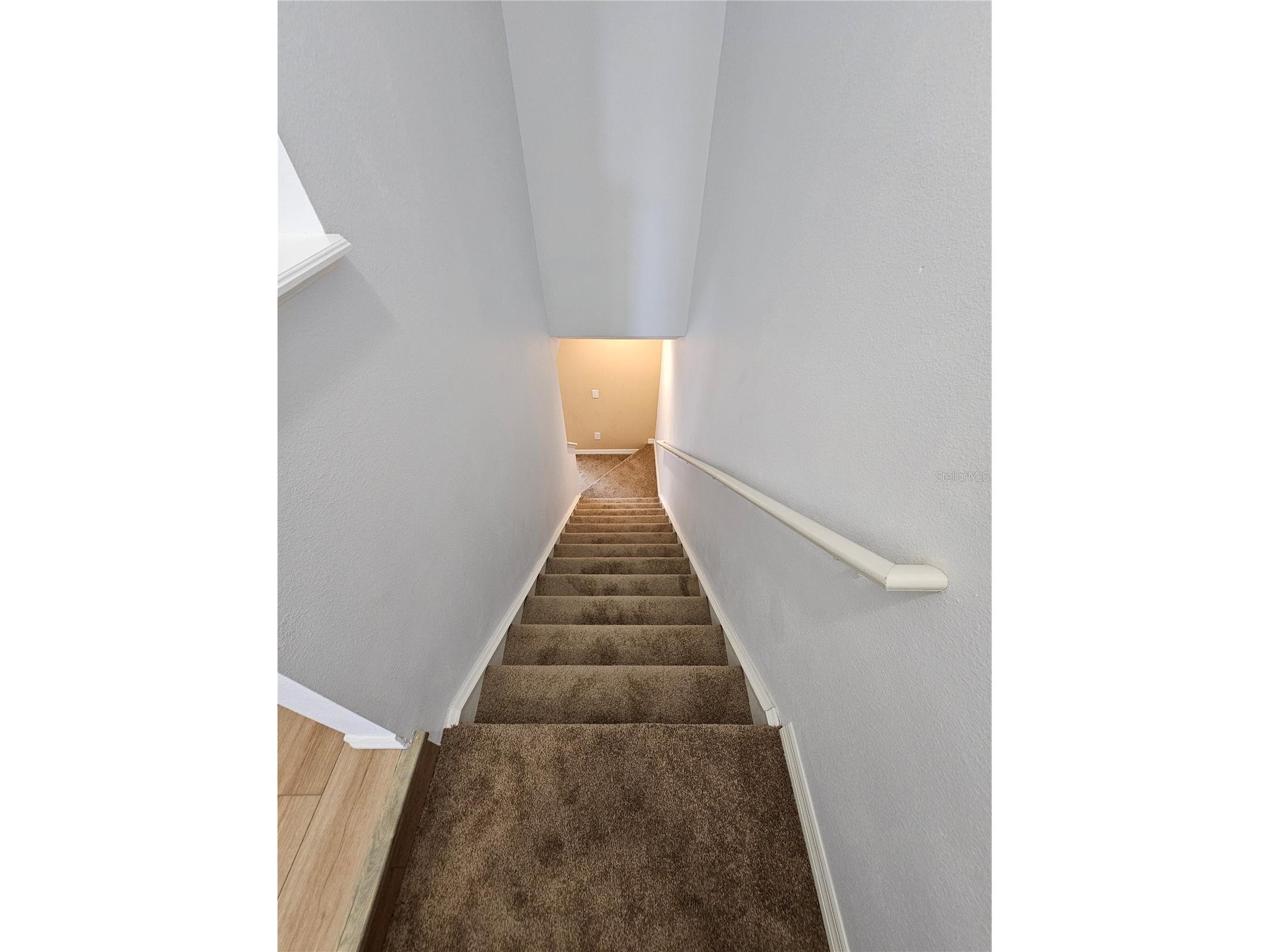16320 Swan View Circle Odessa FL 33556 TB8460744 image39