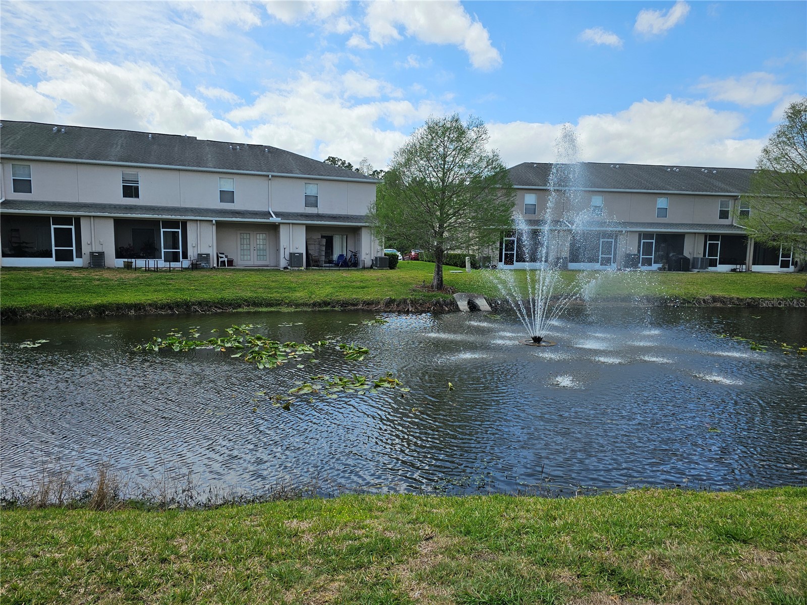 16320 Swan View Circle Odessa FL 33556 TB8460744 image41