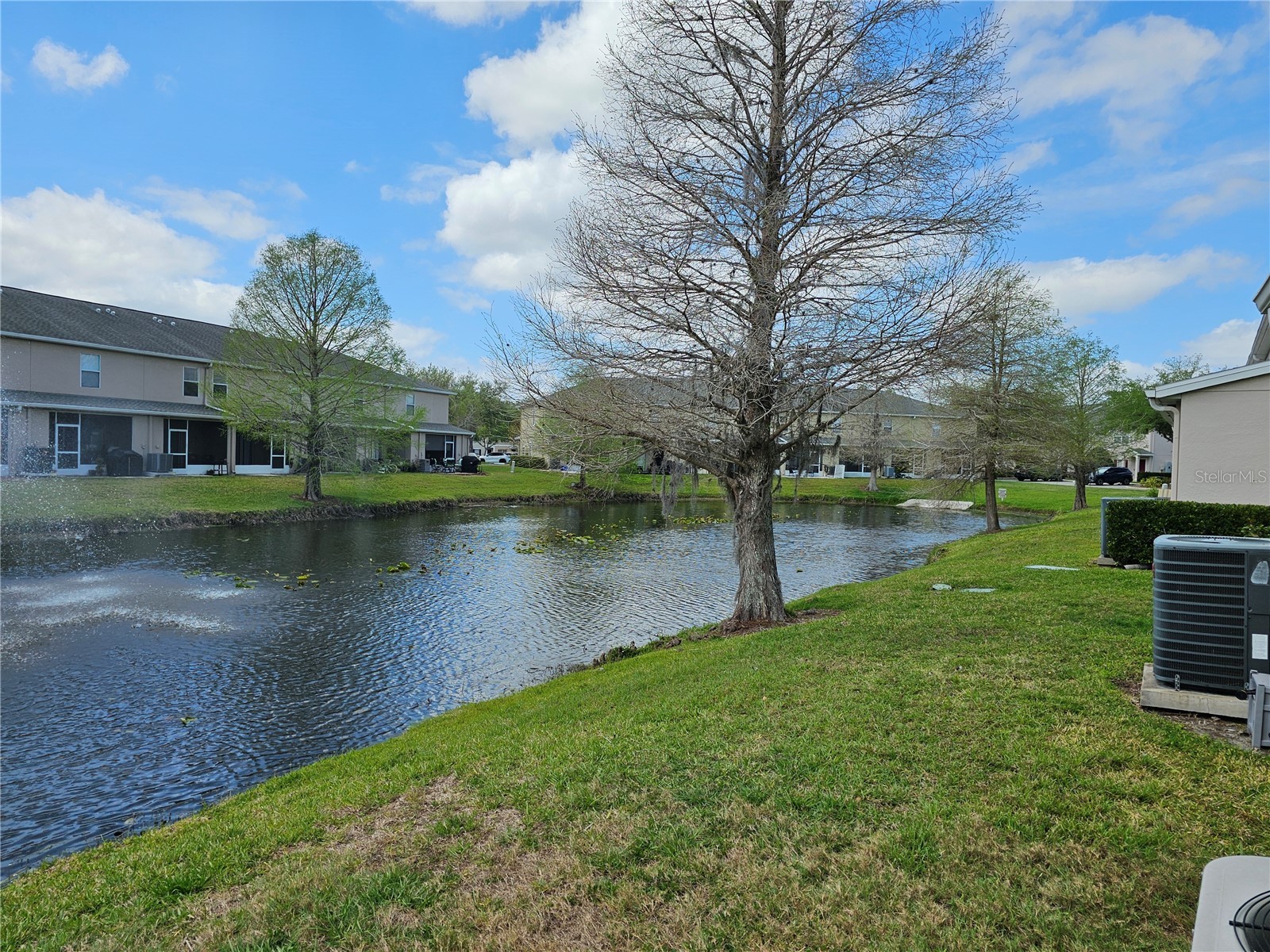 16320 Swan View Circle Odessa FL 33556 TB8460744 image43