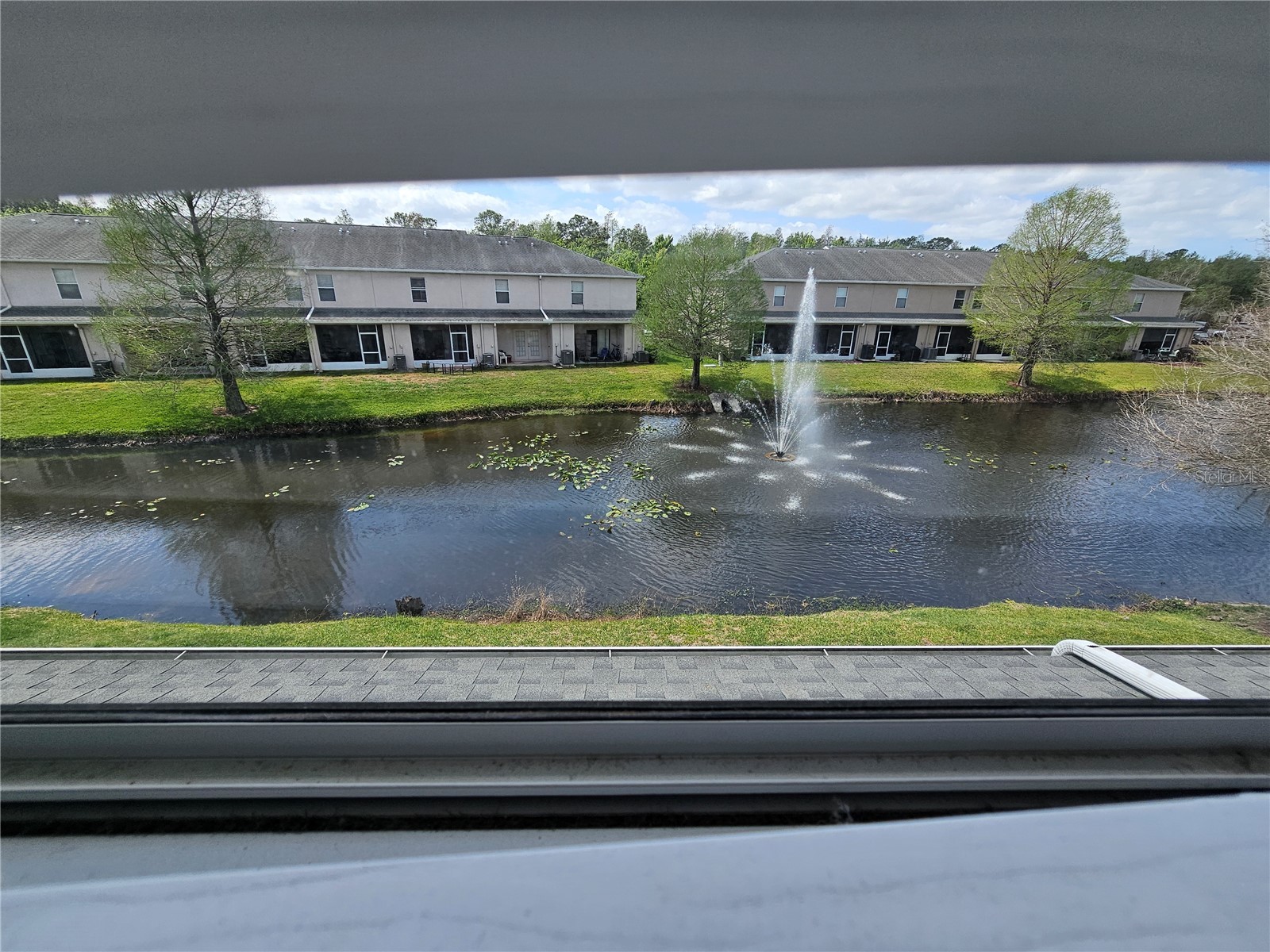 16320 Swan View Circle Odessa FL 33556 TB8460744 image44