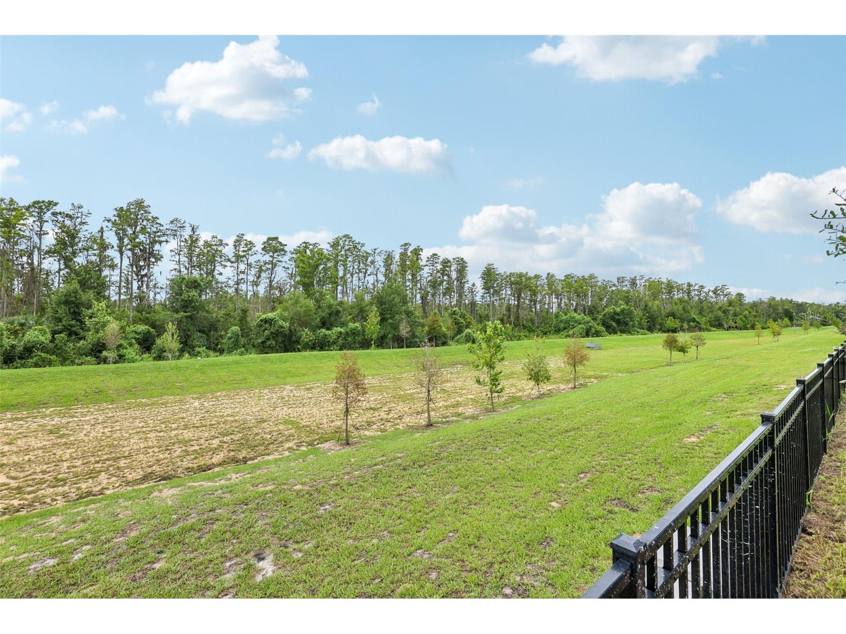 16321 Bird Of Paradise Avenue Clermont FL 34714 O6403998 image35