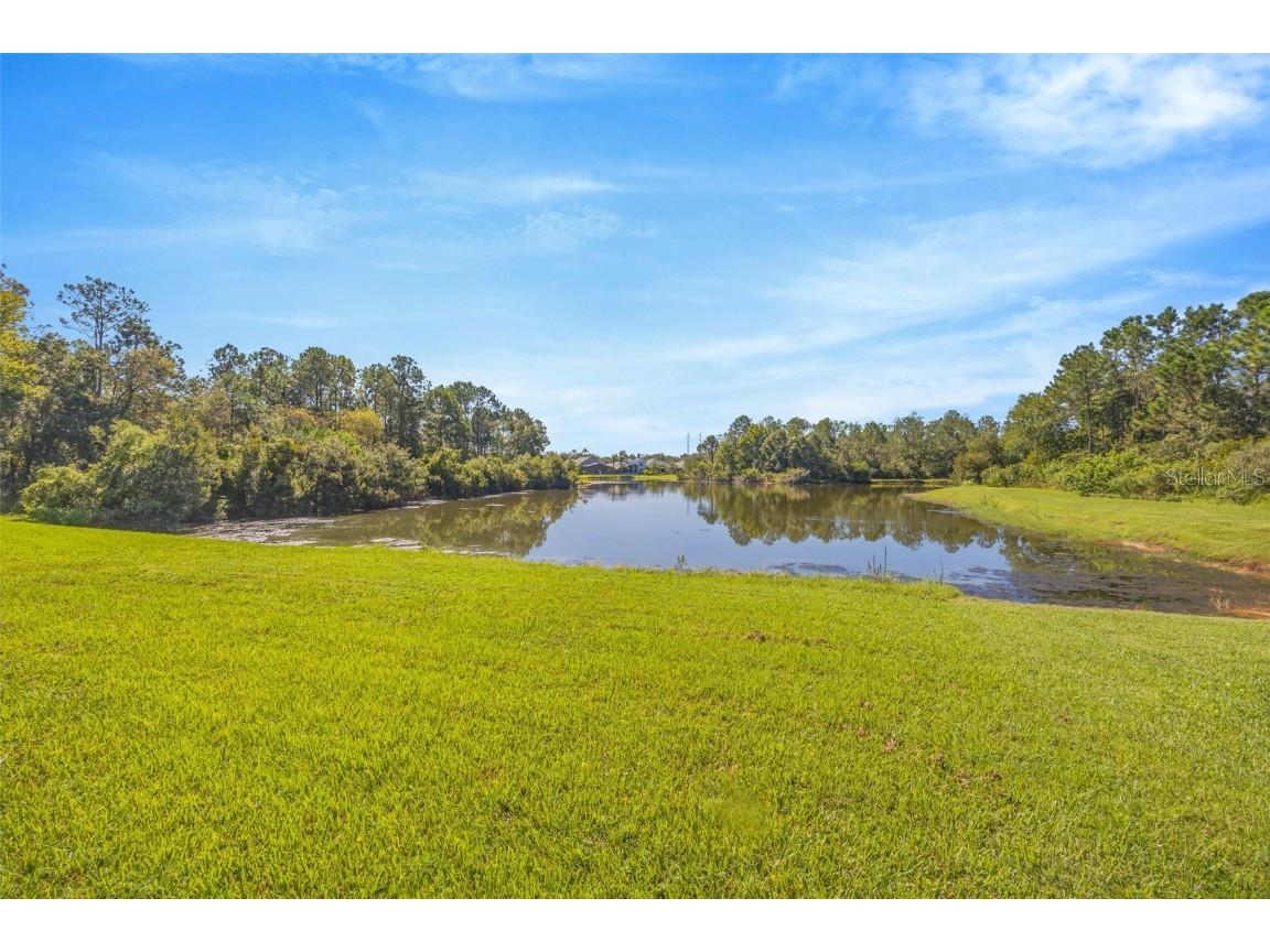 16323 Bridgewalk Drive Lithia FL 33547 TB8429182 image28