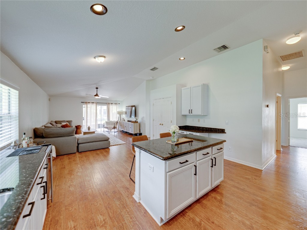 16325 Bridgeglade Lane Lithia FL 33547 TB8431874 image13