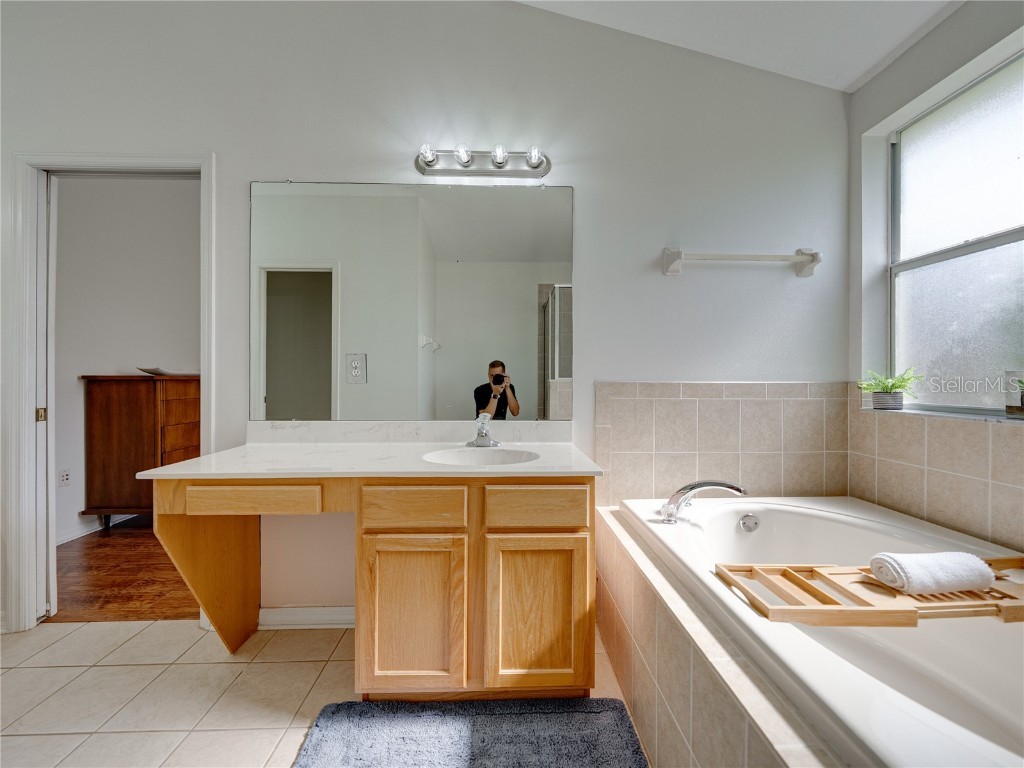 16325 Bridgeglade Lane Lithia FL 33547 TB8431874 image16