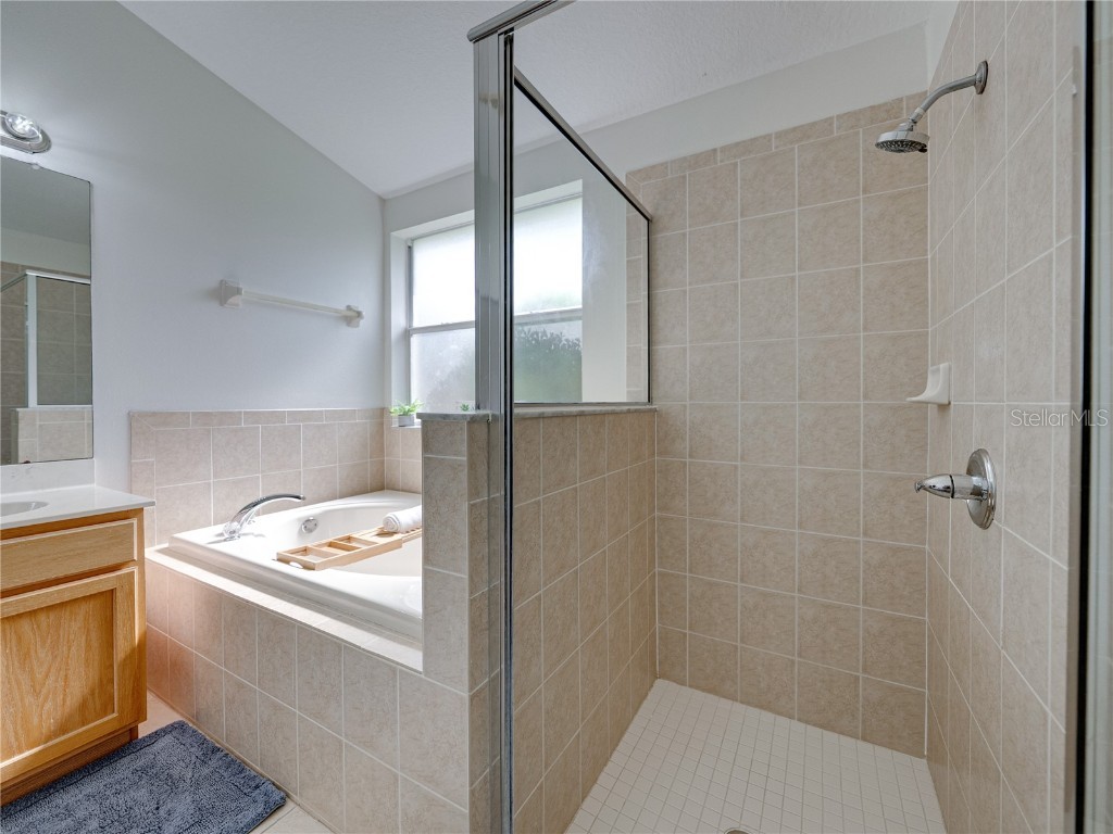 16325 Bridgeglade Lane Lithia FL 33547 TB8431874 image17