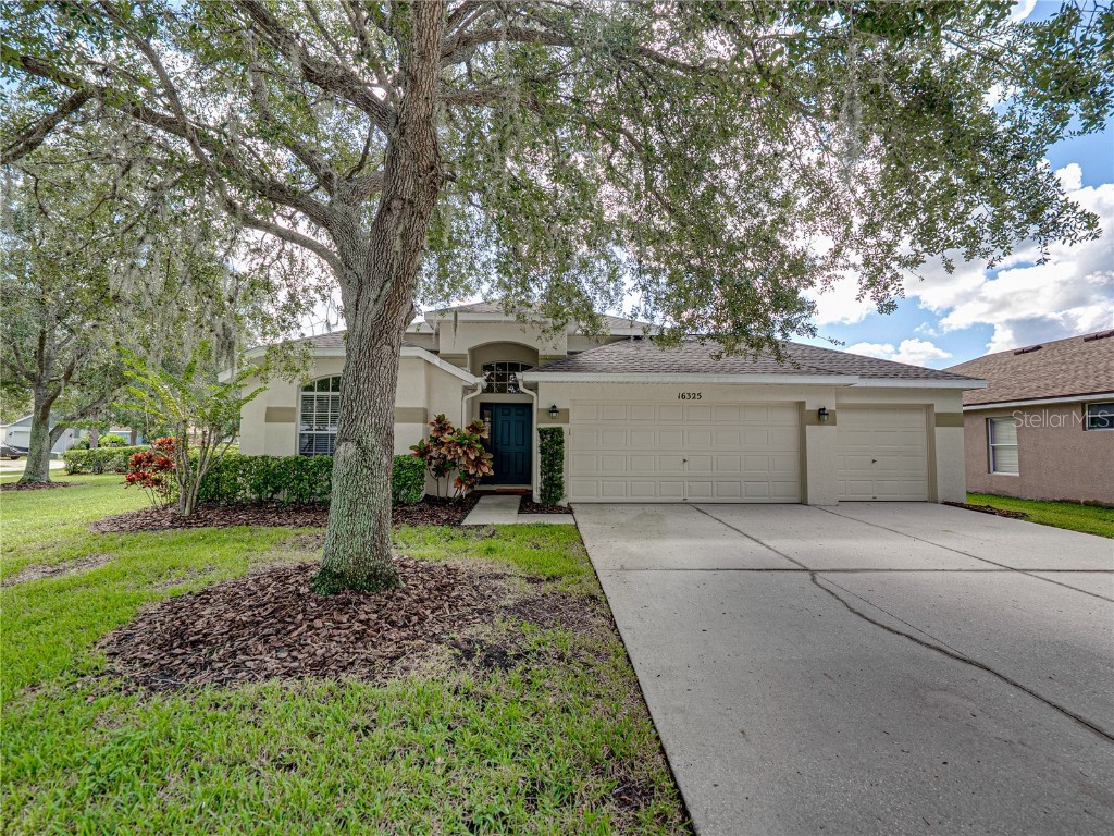 16325 Bridgeglade Lane Lithia FL 33547 TB8431874 image3