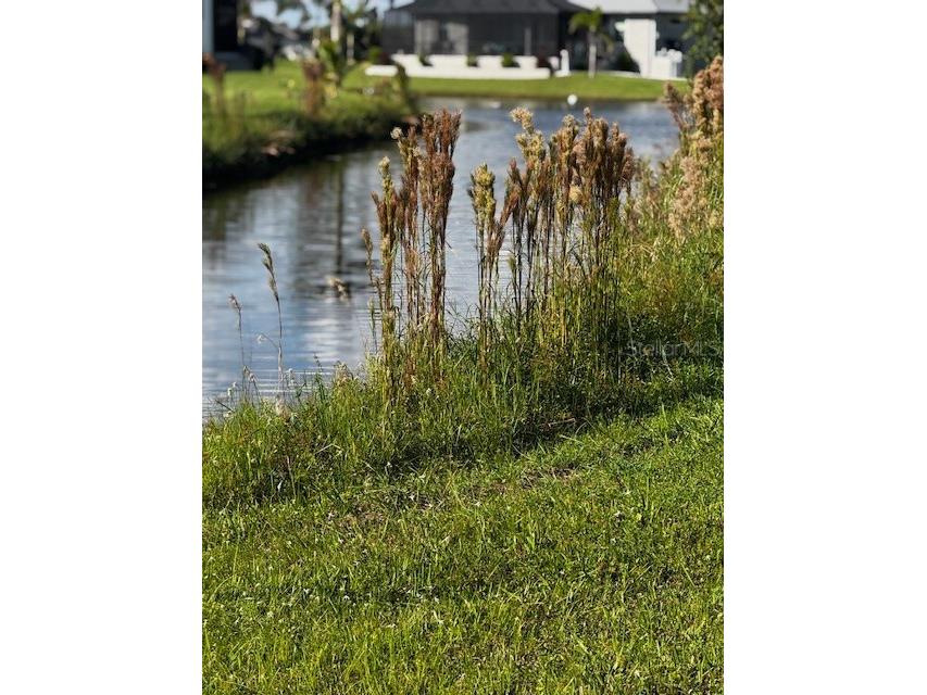 16325 Cape Horn Boulevard Punta Gorda FL 33955 O6335465 image1