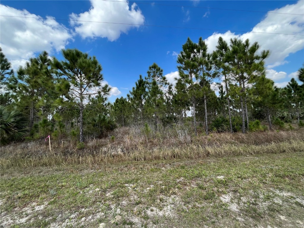 16325 NW 284th Street Okeechobee FL 34972 OK222489 image1