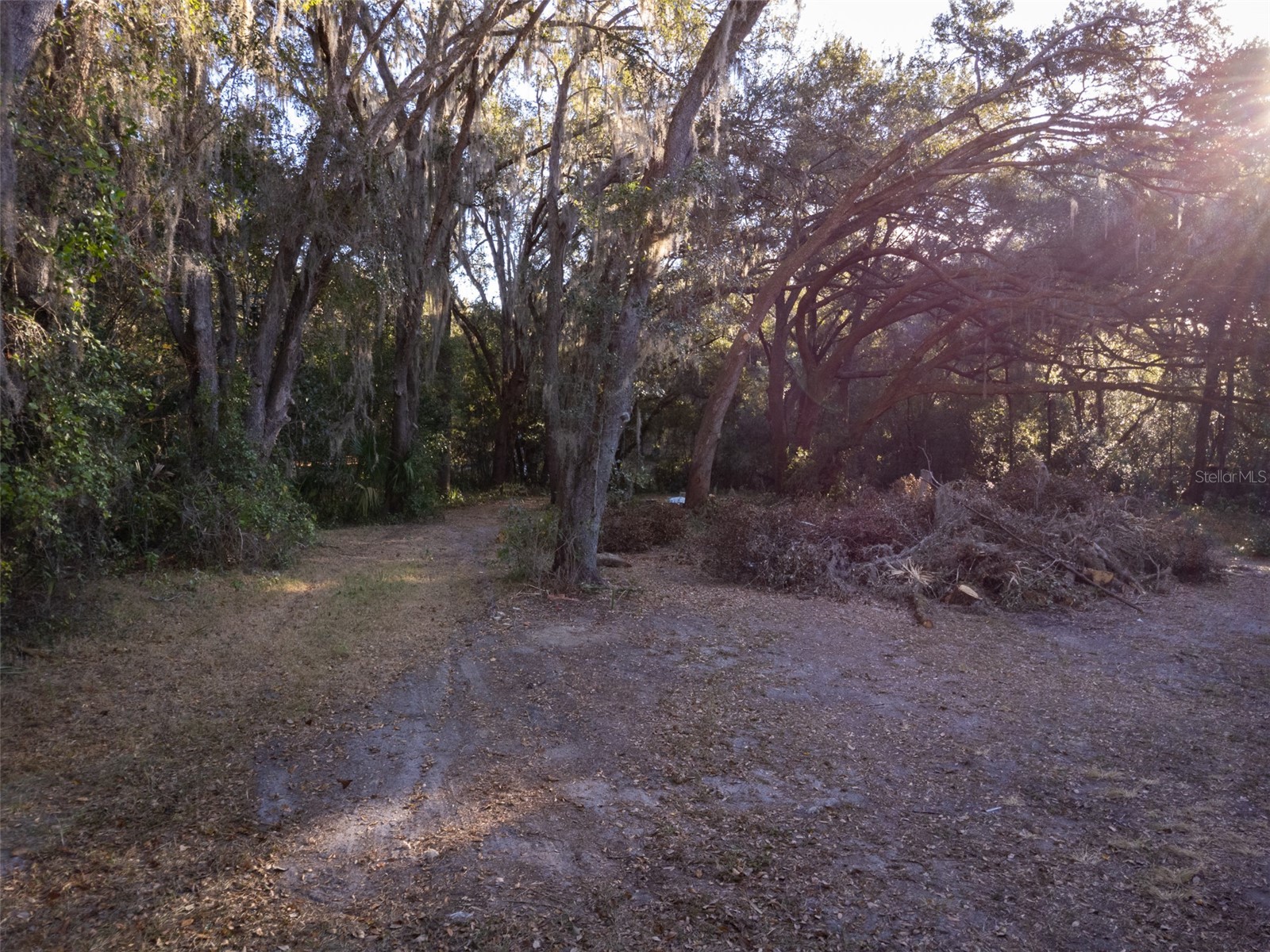 16325 Se 134th Ct Weirsdale FL 32195 V4945821 image22