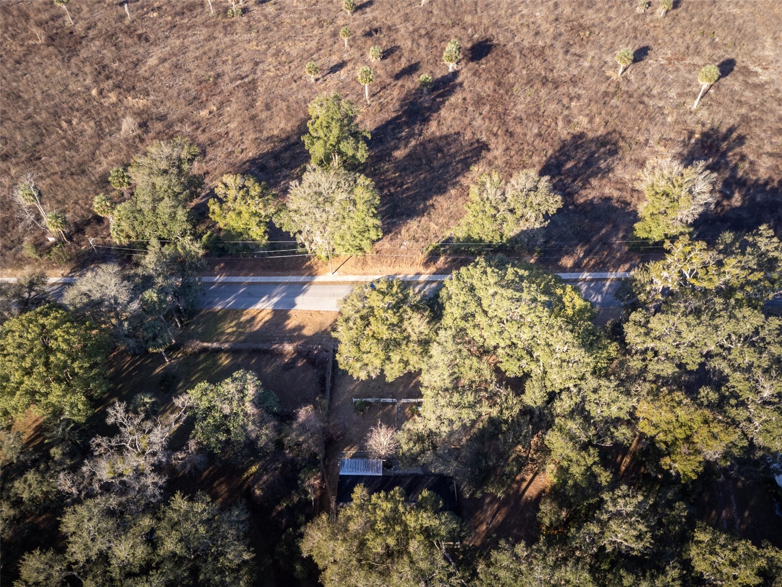 16325 Se 134th Ct Weirsdale FL 32195 V4945821 image23