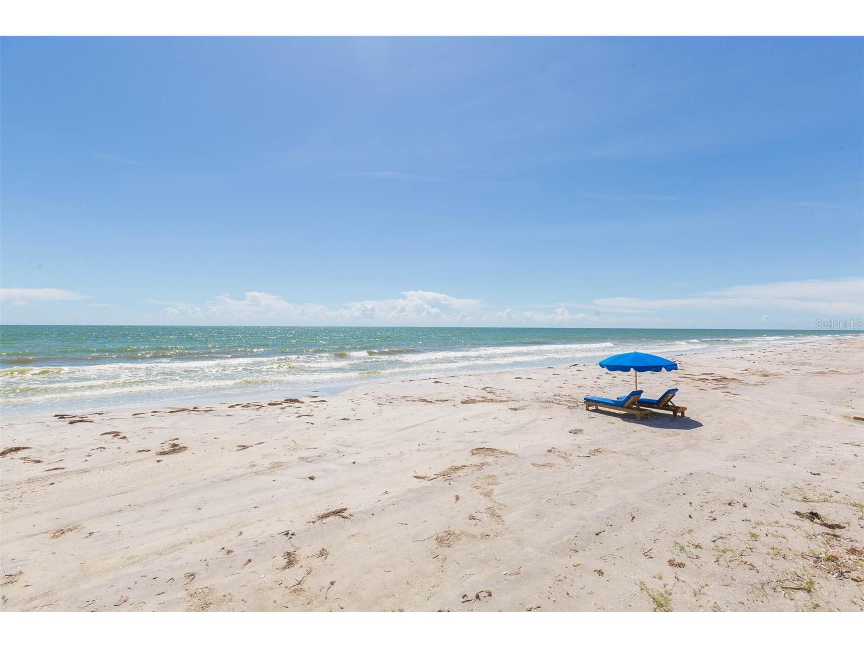 16326 Gulf Boulevard #109 Redington Beach FL 33708 TB8417049 image51