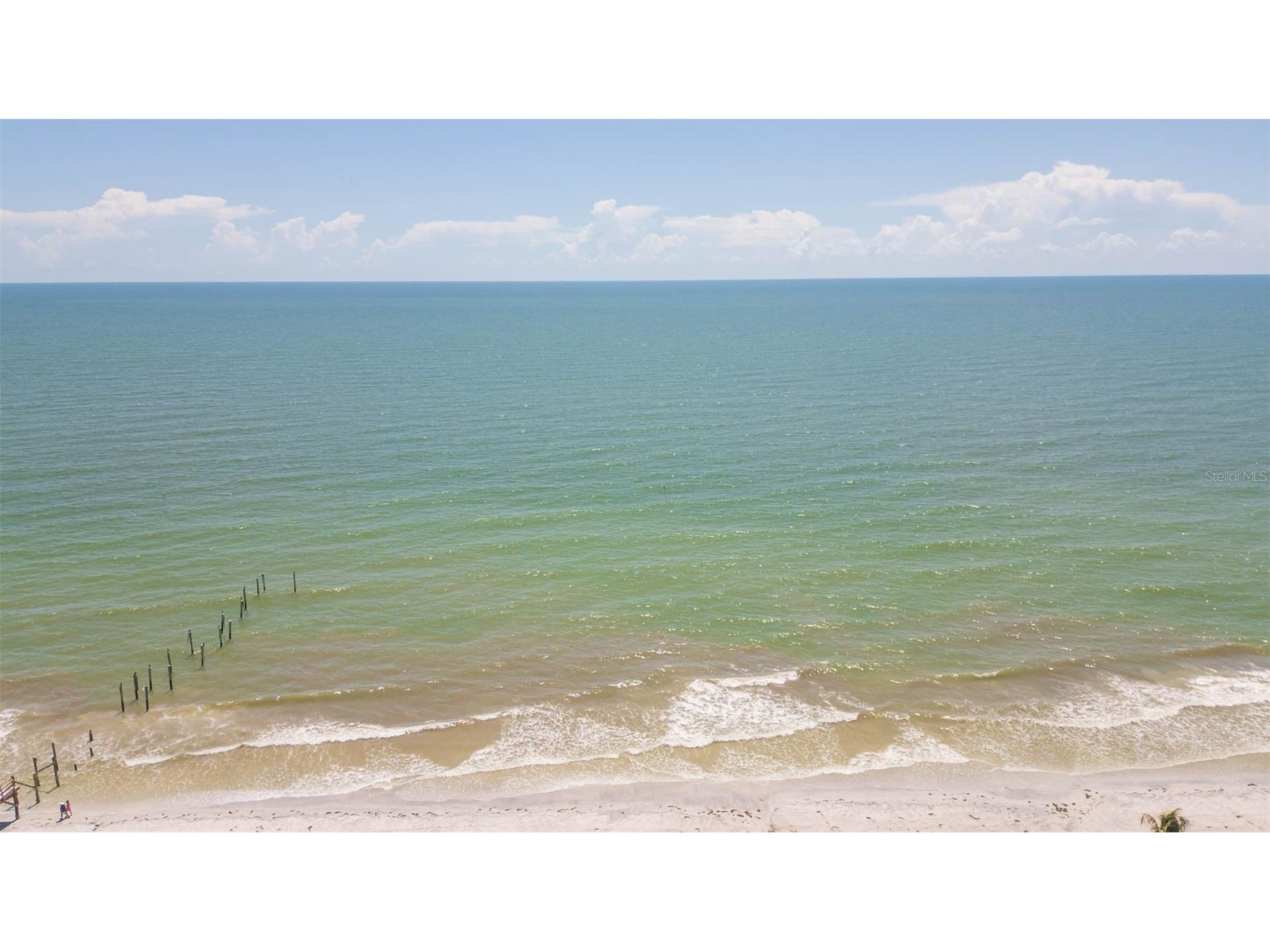 16326 Gulf Boulevard #109 Redington Beach FL 33708 TB8417049 image63