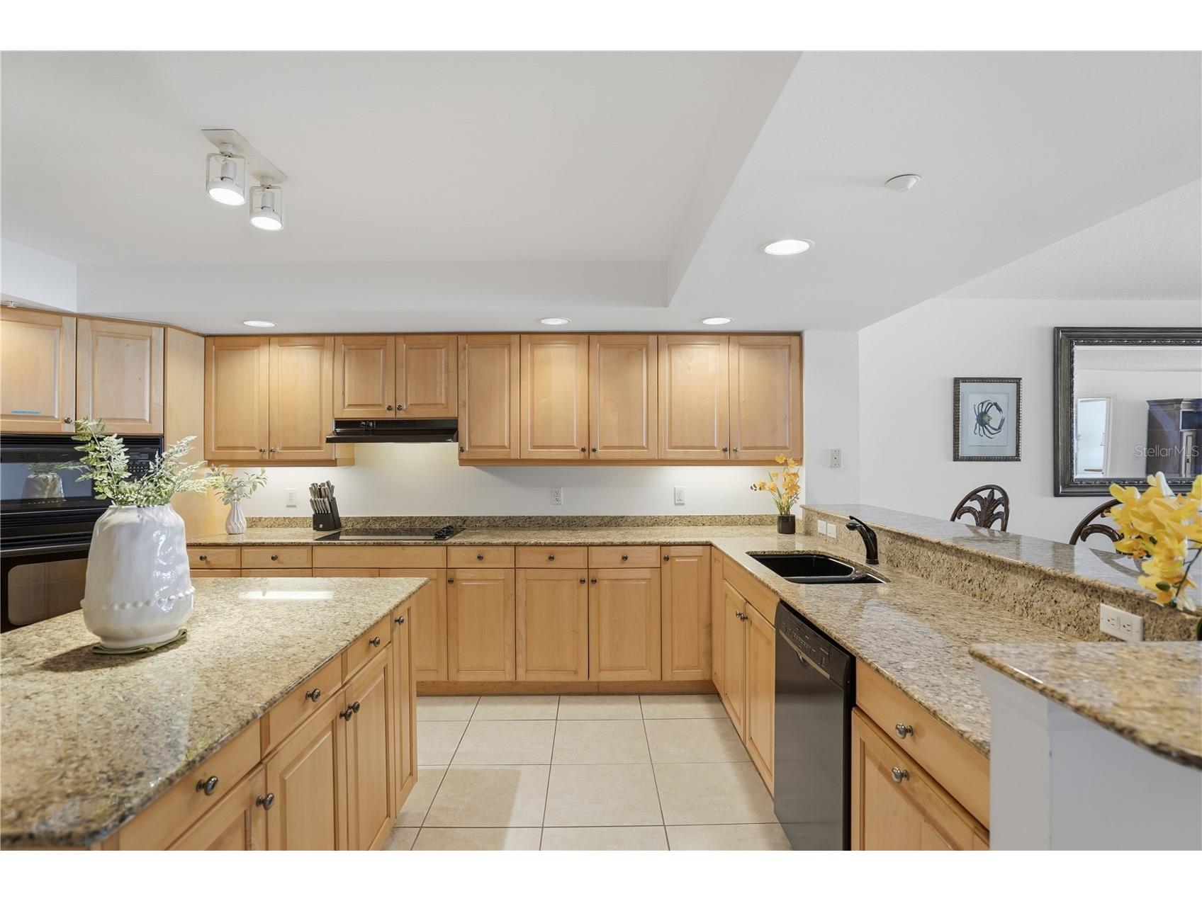 16326 Gulf Boulevard #307 Redington Beach FL 33708 - GULF OF AMERICA TB8475682 image4