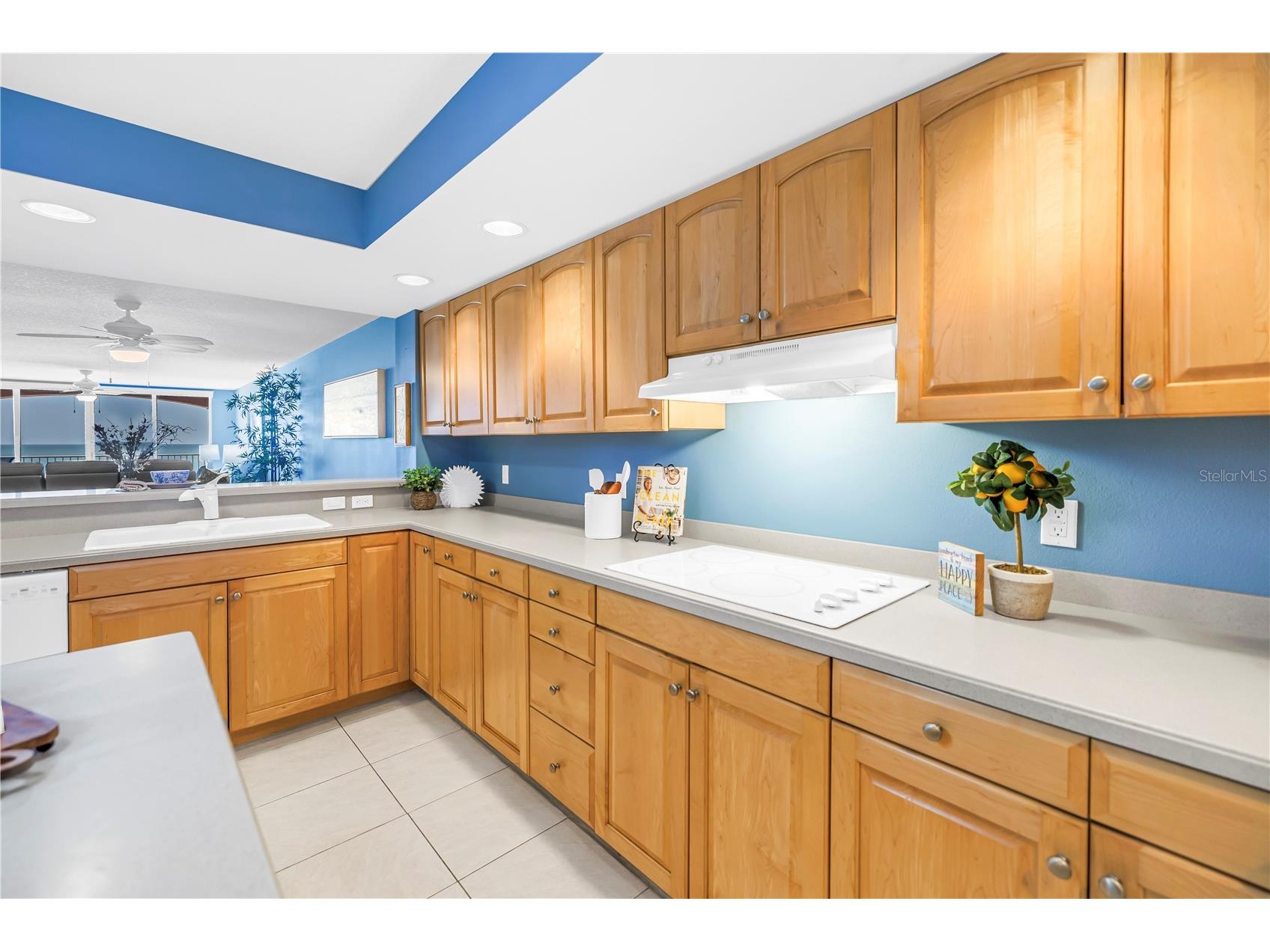 16326 Gulf Boulevard #308 Redington Beach FL 33708 - GULF OF AMERICA TB8477072 image6