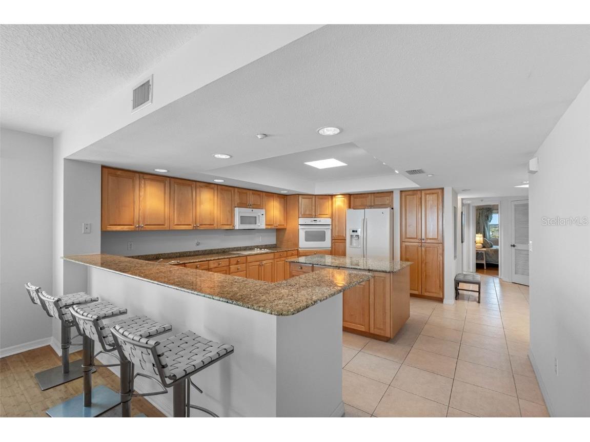16326 Gulf Boulevard #510 Redington Beach FL 33708 - GULF OF AMERICA TB8453163 image8