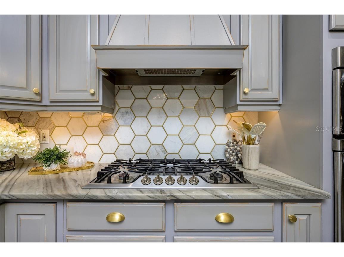 16328 Emerald Cove Drive Lutz FL 33549 TB8437726 image17