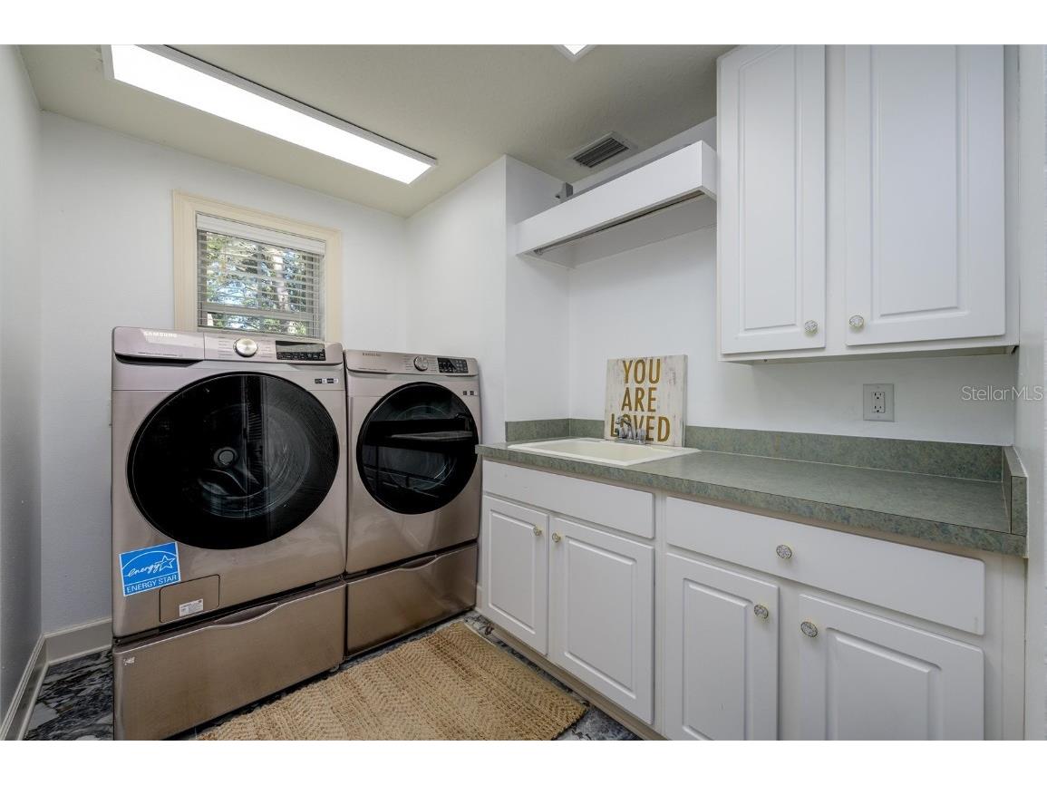 16328 Emerald Cove Drive Lutz FL 33549 TB8437726 image28