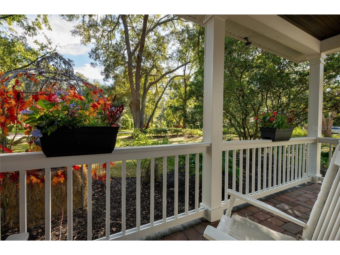 16328 Emerald Cove Drive Lutz FL 33549 TB8437726 image3