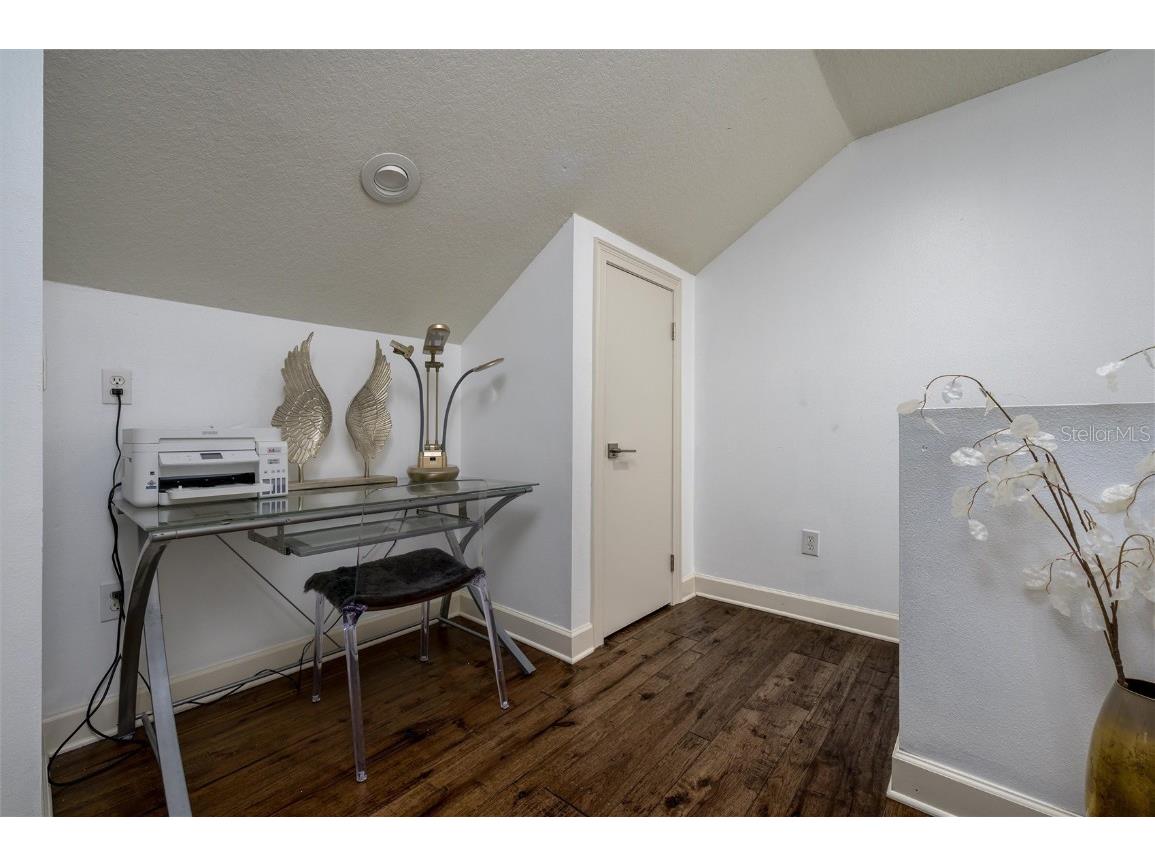 16328 Emerald Cove Drive Lutz FL 33549 TB8437726 image35