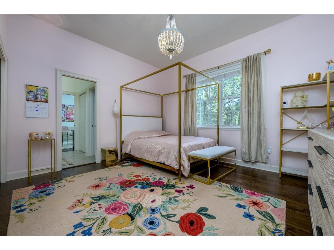 16328 Emerald Cove Drive Lutz FL 33549 TB8437726 image38