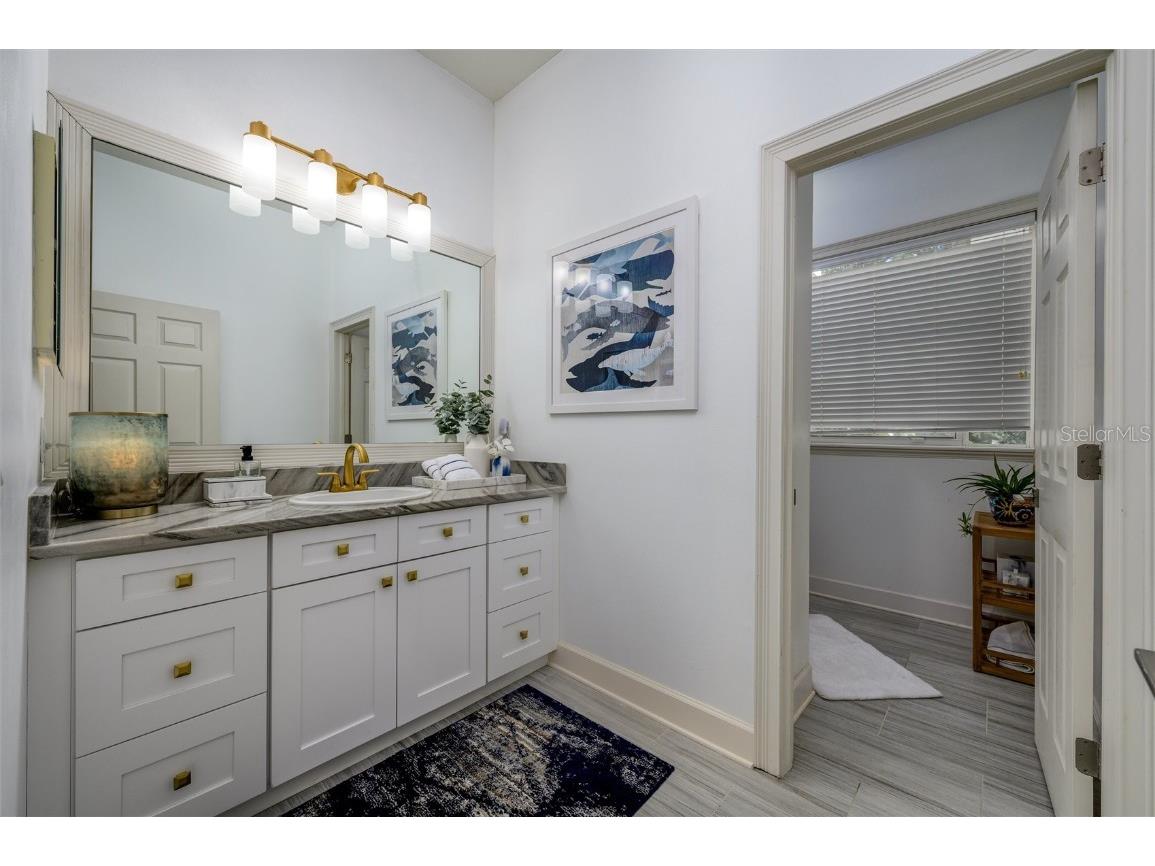 16328 Emerald Cove Drive Lutz FL 33549 TB8437726 image45