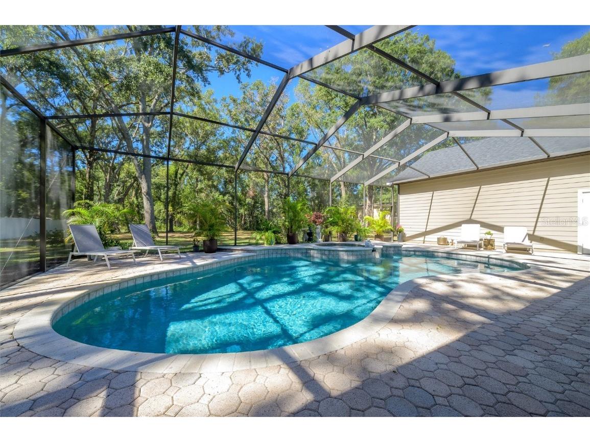 16328 Emerald Cove Drive Lutz FL 33549 TB8437726 image51