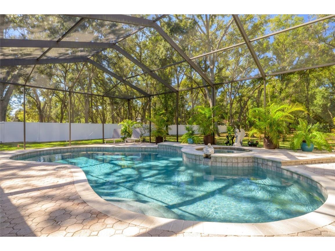 16328 Emerald Cove Drive Lutz FL 33549 TB8437726 image52