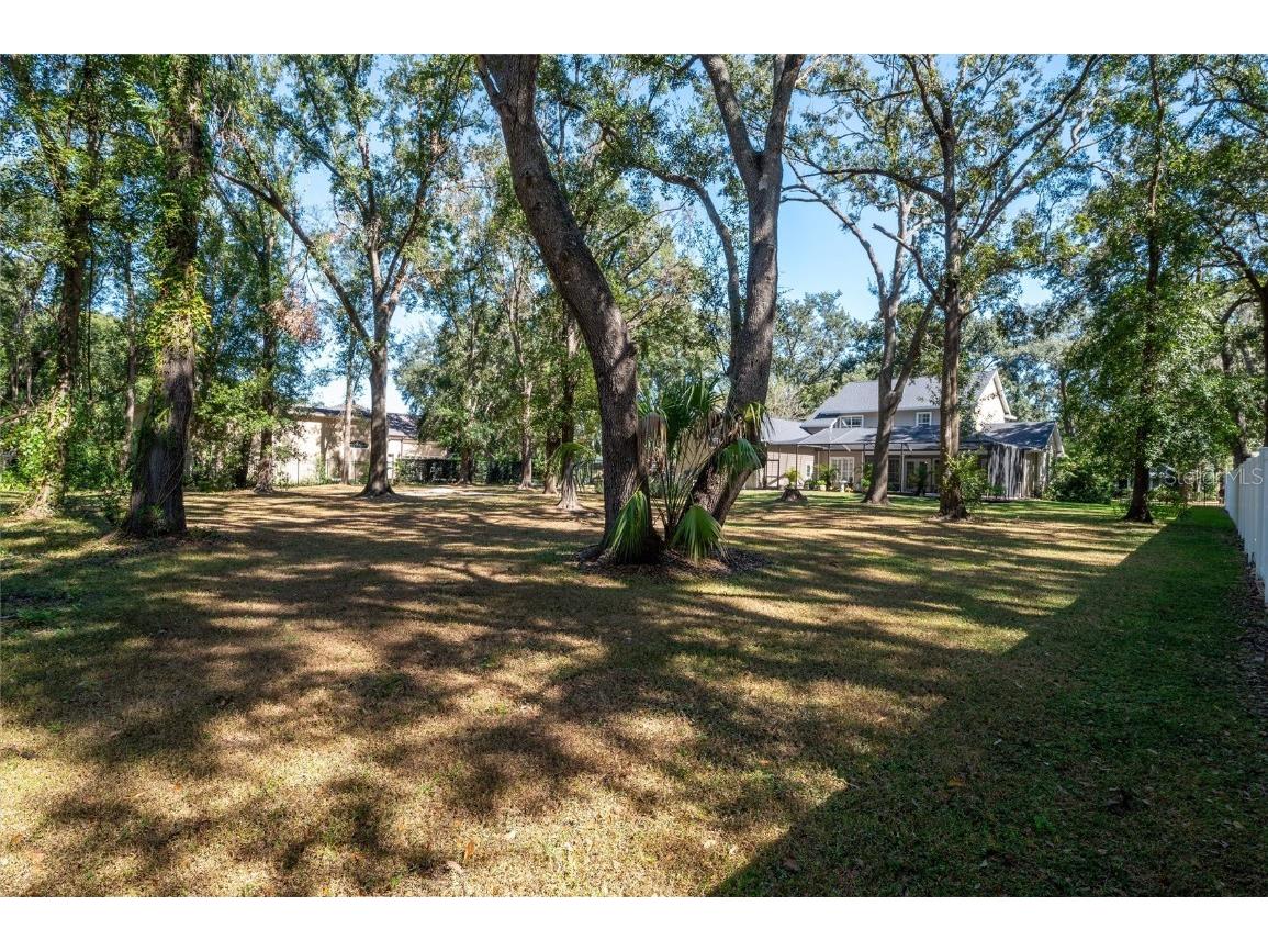 16328 Emerald Cove Drive Lutz FL 33549 TB8437726 image56