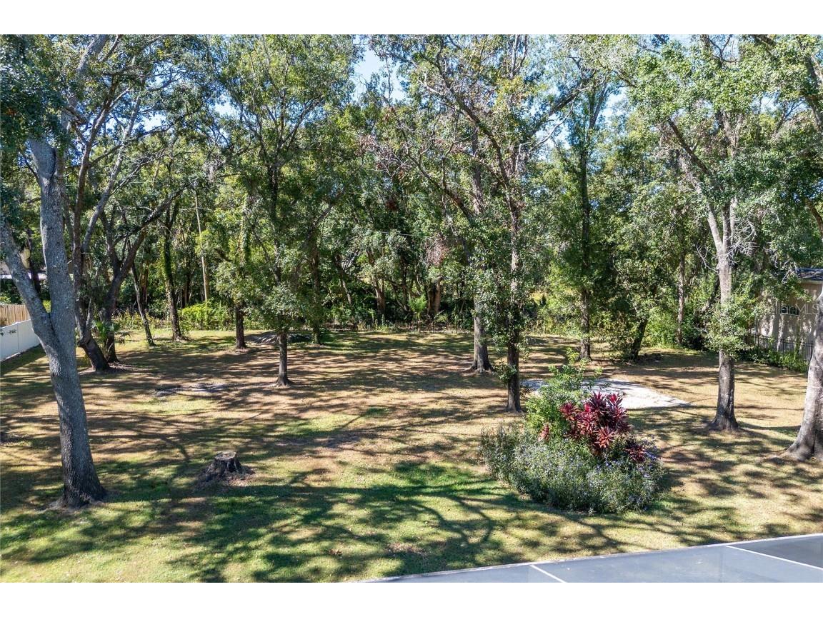 16328 Emerald Cove Drive Lutz FL 33549 TB8437726 image57