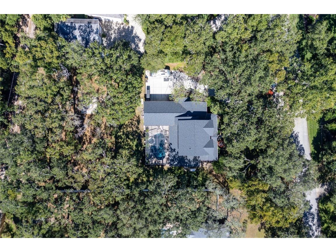 16328 Emerald Cove Drive Lutz FL 33549 TB8437726 image59