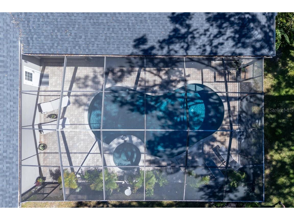 16328 Emerald Cove Drive Lutz FL 33549 TB8437726 image61