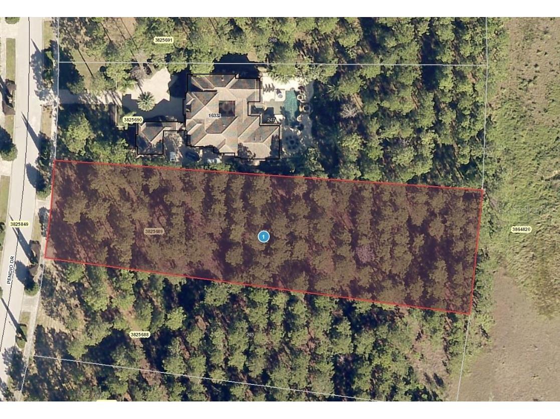 16328 Pendio Drive Montverde FL 34756 J946645 image1