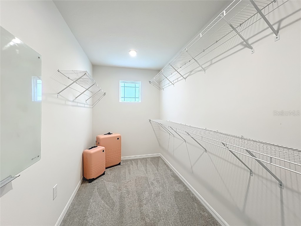 16329 Prairie School Drive Winter Garden FL 34787 O6353551 image43