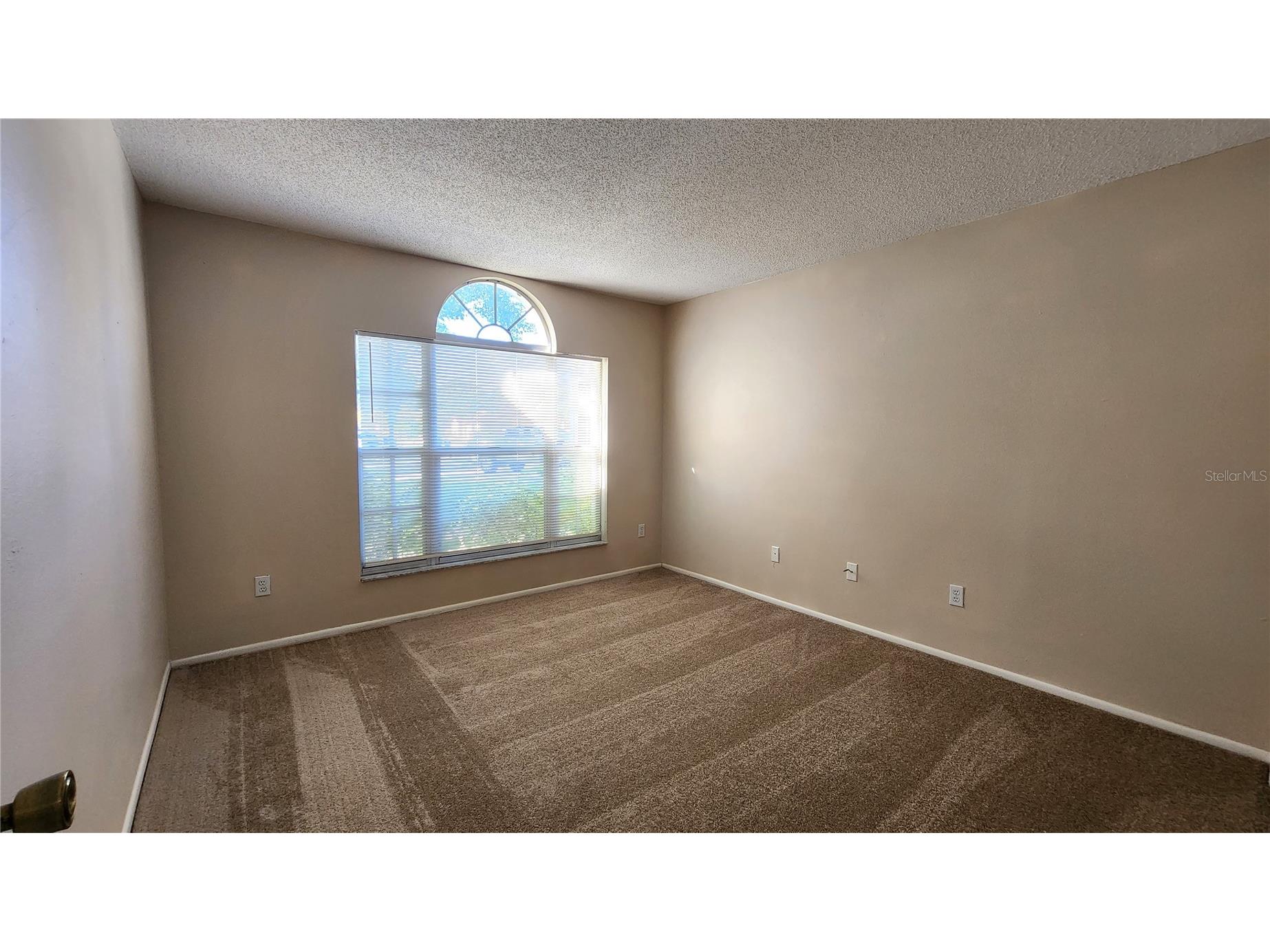 1633 Elk Spring Drive Brandon FL 33511 TB8458423 image9